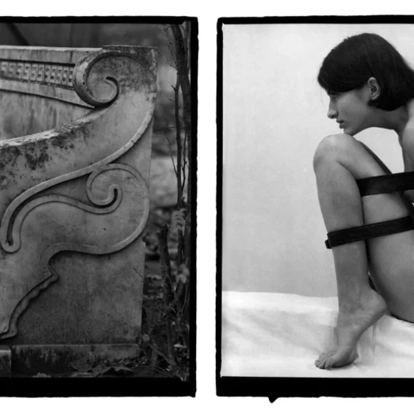 Neoccademismo è Sadomasochismo (II)