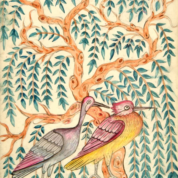 Uccelli.Foglio da un'enciclopedia di ornitologia