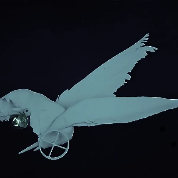 Elettricità dell'aria (IV)