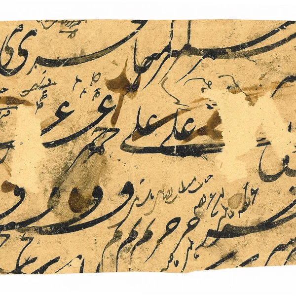 Talismano di iettatura:"Pianta della fortezza del destino"