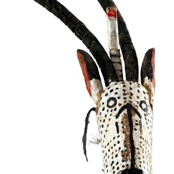 Marionetta teriomorfa