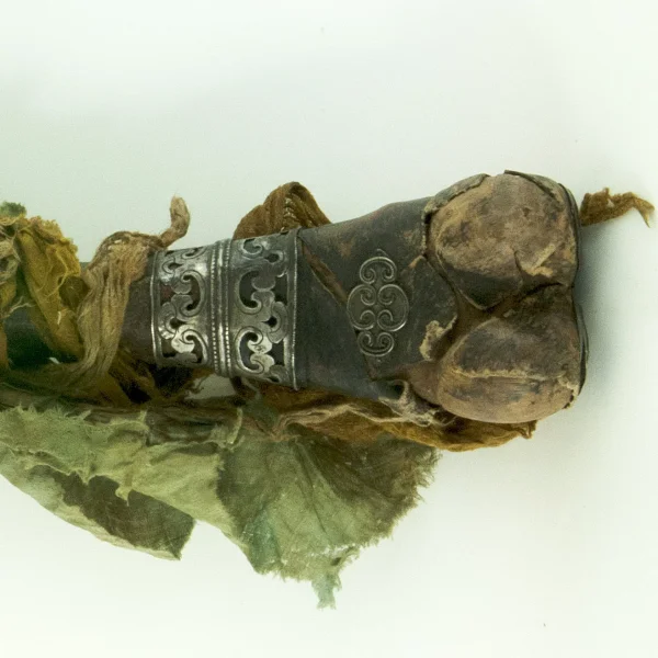 Kangling (Tromba rituale in osso)