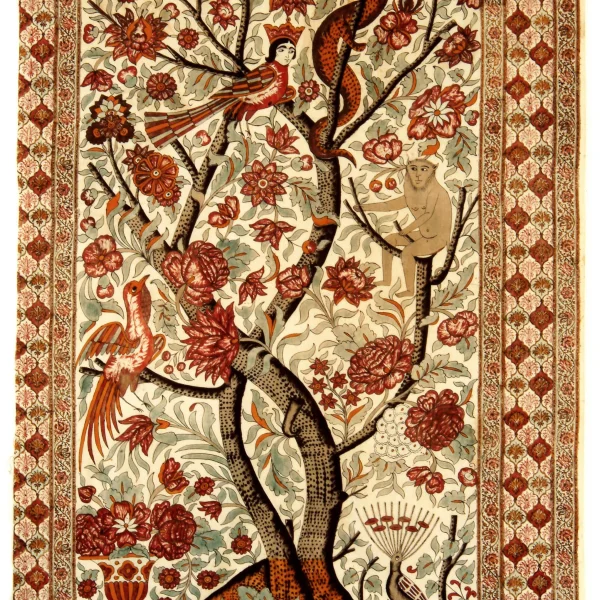 Simorgh "Trenta Uccelli"