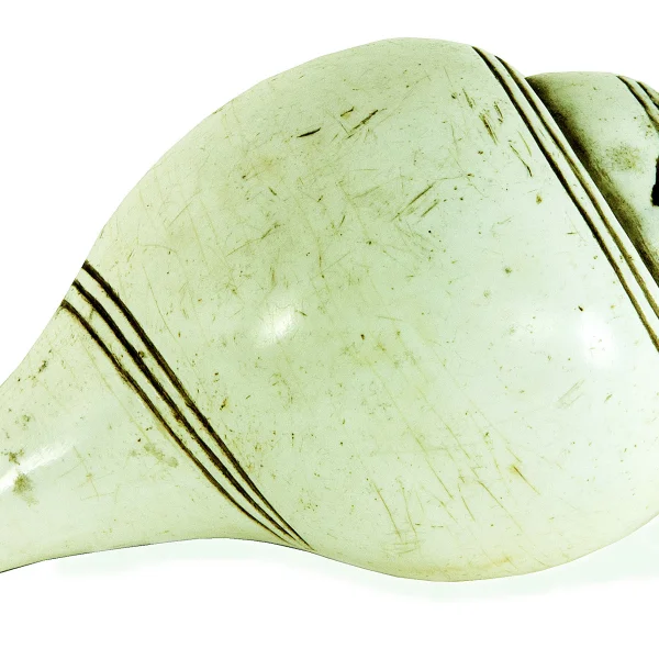Dung-dkar (Conchiglia rituale)