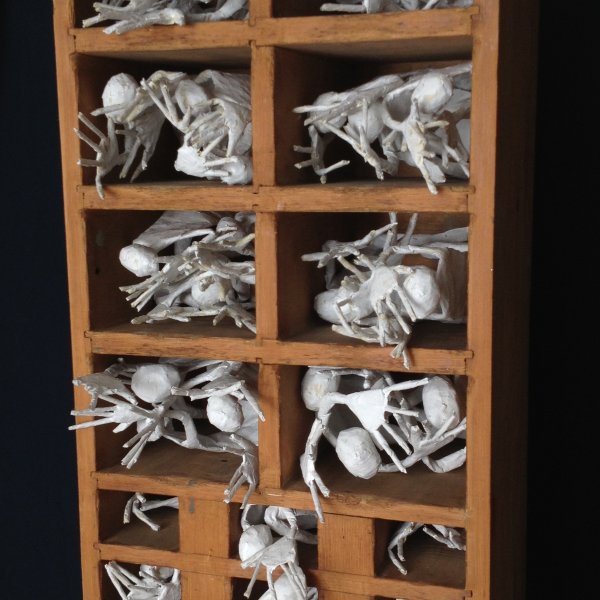 Il box dell'errore antropometrico