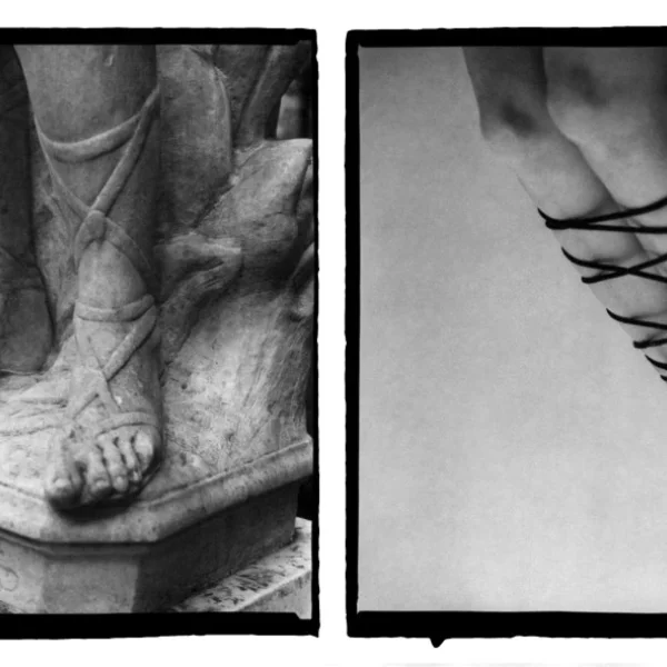 Neoccademismo è Sadomasochismo (VI)