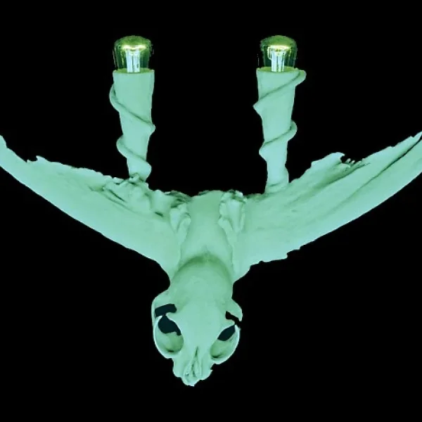 Elettricità dell'aria (II)