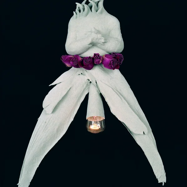 Elettricità dell'aria (i)