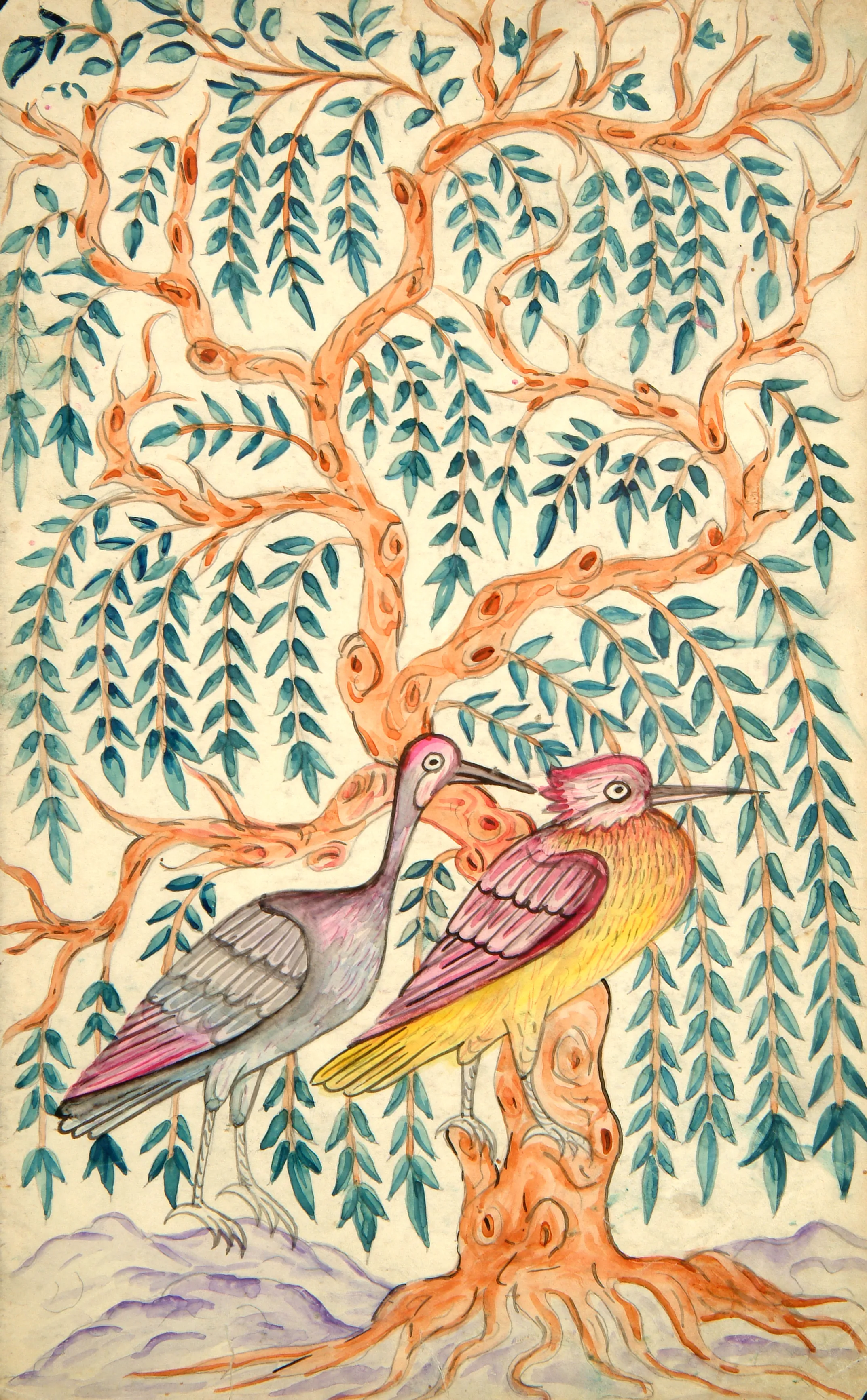 Uccelli.Foglio da un'enciclopedia di ornitologia