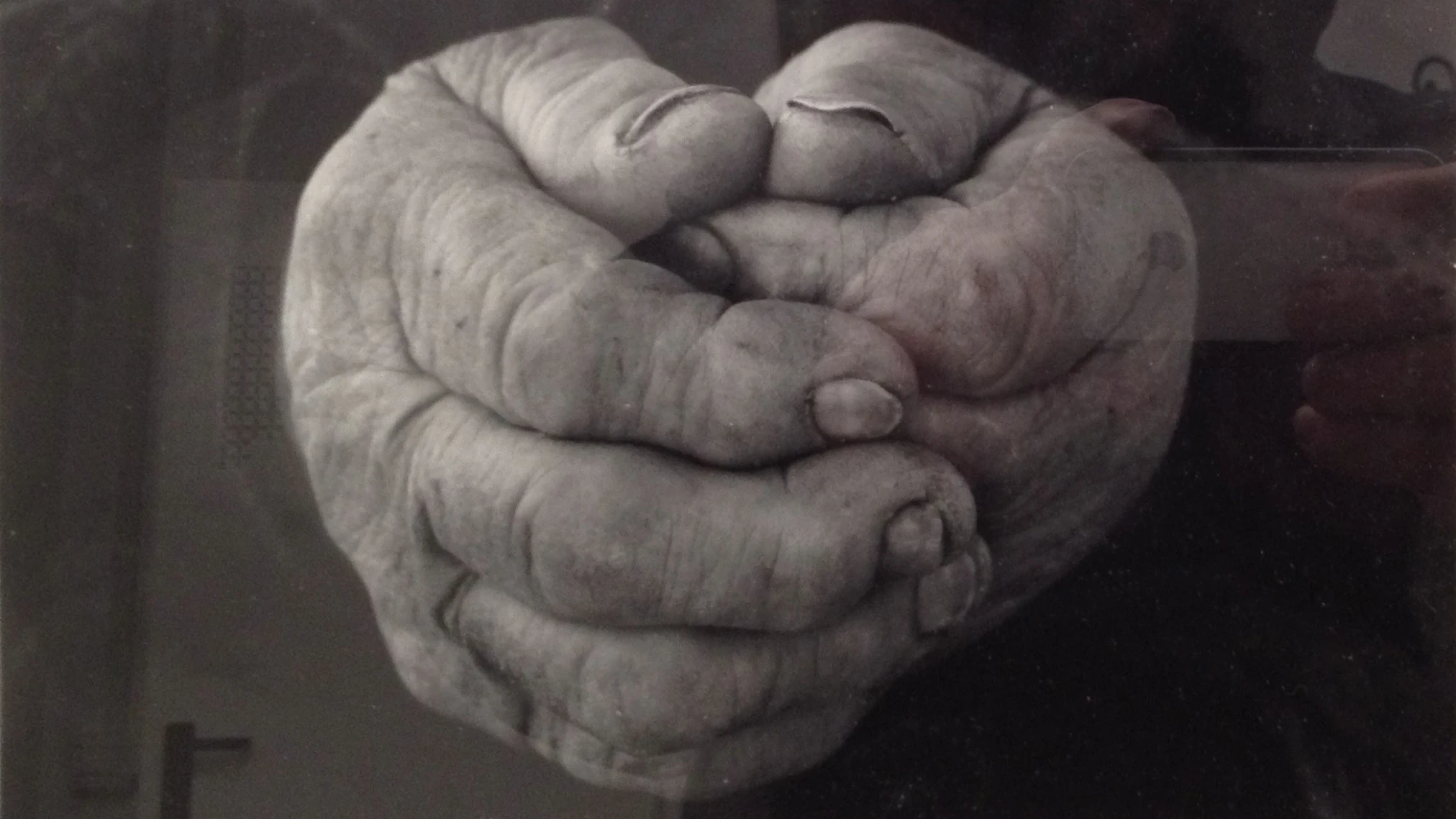 Rosen Donev, _Mani di contadina_ (part.), stampa fotografica ai sali d'argento 1/1, 1999, cm 20,5 x 40 ©FSP 3c.FONDO%20FOTOGRAFICO%20EUROASIATICO%20COPERTINA